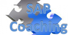 sap coaching sized
